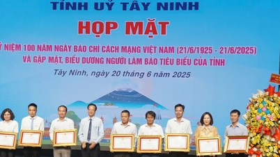 គណៈកម្មាធិការប្រជាជនខេត្ត Tay Ninh និងខេត្ត Dong Nai បានប្រគល់វិញ្ញាបនបត្រកុសលដល់សមូហភាព និងអ្នកយកព័ត៌មានរបស់កាសែត SGGP។