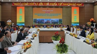 Positioning new tourism growth pole for Lam Dong after merger