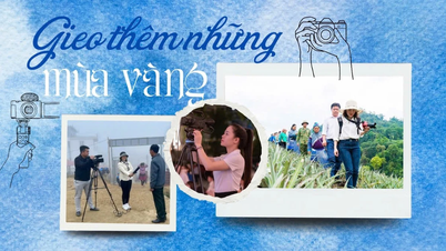 Gieo thêm những mùa vàng