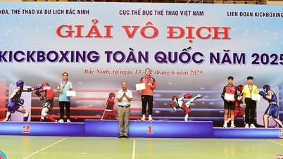 Giải vô địch Kickboxing toàn quốc năm 2025: Hà Nội nhất toàn đoàn