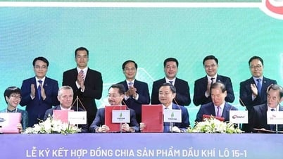 Нефтегазовая промышленность должна эффективно разрабатывать и использовать национальные ресурсы.