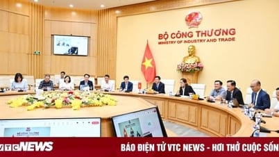 المفاوضات الفيتنامية الأميركية عبر الإنترنت: نحو اتفاق يناسب مصالح البلدين