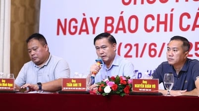 Vietnamesische Frauenmannschaft erwägt sorgfältig Einbürgerung, vietnamesischer Fußball könnte Mannschaften zusammenlegen