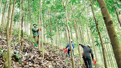 Đẩy nhanh giải phóng mặt bằng tuyến đường sắt Lào Cai-Hà Nội-Hải Phòng