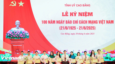 حصل مراسل VietnamPlus على شهادة تقدير من رئيس اللجنة الشعبية لمقاطعة كاو بانج.