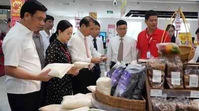 Nghệ An quảng bá sản phẩm OCOP bằng hình thức trực tiếp và trực tuyến
