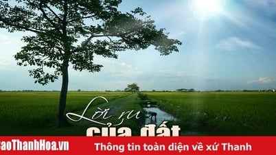 [Emagazin]: Lời ru của đất