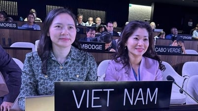 Việt Nam lần thứ ba trúng cử thành viên Ủy ban liên chính phủ Công ước UNESCO 2005