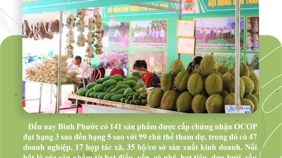 لدى Binh Phuoc 141 منتجًا حاصلًا على شهادة OCOP