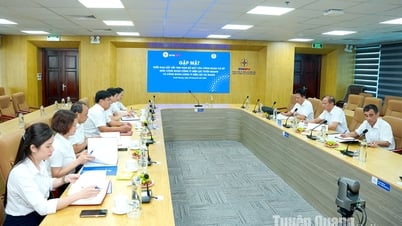 ក្រុមហ៊ុន​អគ្គិសនី Tuyen Quang អនុវត្ត​ការ​រៀបចំ និង​សម្រួល​ឧបករណ៍​សហជីព​បន្ទាប់​ពី​ការ​ច្របាច់​បញ្ចូល​គ្នា។