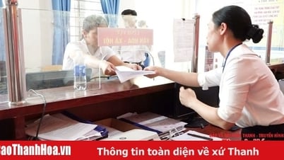 Город Нги Сон тестирует работу новых районов и коммун