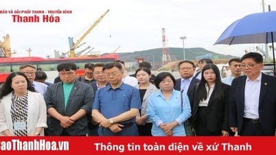 Delegation der Stadt Seongnam (Korea) besuchte und arbeitete in der Wirtschaftszone Nghi Son