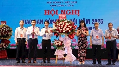 คลัสเตอร์การแพทย์ตะวันออก ลำดับที่ 3 สร้างระบบการเชื่อมโยงที่แข็งแกร่ง นำการแพทย์ตะวันออกเข้าใกล้ประชาชนมากขึ้น