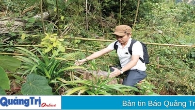 Tự hào khi được trở về làm báo trên quê hương