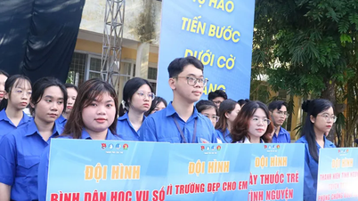 អ្នកស្ម័គ្រចិត្ត "អាវពណ៌បៃតង"