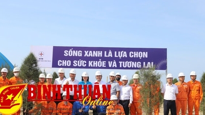 Central Térmica Vinh Tan 4: Lanzamiento de una campaña de plantación de árboles en respuesta al Mes de Acción Ambiental de 2025