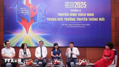 Truyền hình Việt trong cuộc đua đa nền tảng để giữ khán giả