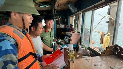 Đánh giá kết quả xử lý trong khai thác thuỷ sản ở Nghệ An