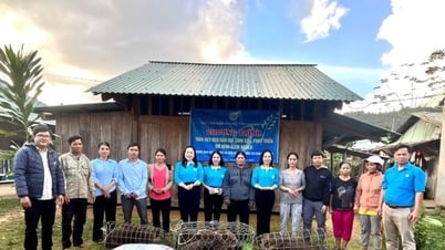 Les femmes de Quang Nam gèrent 1 311 groupes de prêts avec des prêts en cours atteignant 3 777 milliards de VND