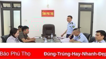 More than 23,000 bird's nest products identified as counterfeit