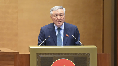 Deputy Prime Minister Nguyen Hoa Binh: Will promptly appoint chairmen and vice chairmen of provincial People's Committees
