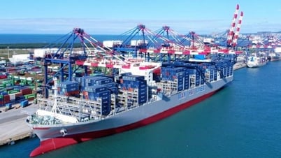 [Tin tức Hàng hải] Wan Hai Lines đầu tư 150 triệu USD để mua 48.000 container