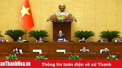 国会は質疑応答のプログラムを終了した。