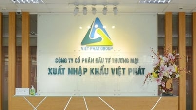 Viet Phat (VPG) は臨時大会を開催する予定です。