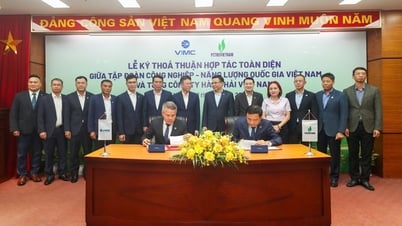 Petrovietnam и VIMC укрепляют связи, содействуют развитию морской экономики