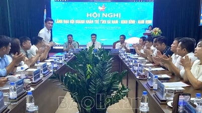 Hội nghị lãnh đạo Hội Doanh nhân trẻ tỉnh Hà Nam, Nam Định, Ninh Bình