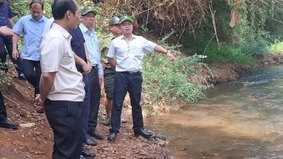 Plan to spend 45.8 billion VND to support civil servants and public employees from Binh Phuoc to work in Dong Nai