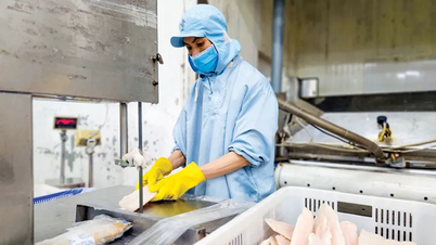 Libérer le potentiel des produits vietnamiens pour entrer sur le marché canadien