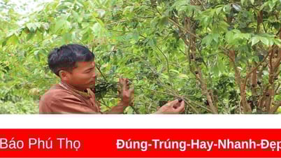 การเปลี่ยนแปลงจากโครงการเป้าหมายระดับชาติ