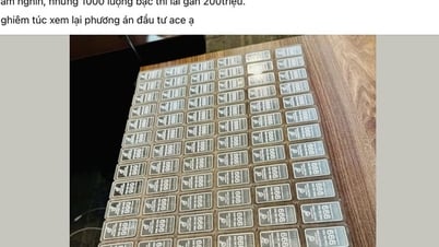 銀に投資する方が金を買うよりも利益が大きいですか？
