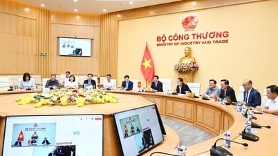 Vietnam-US online negotiations: Towards an agreement that suits the interests of both countries