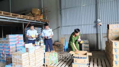 Entschlossener Kampf gegen Produktfälschungen und Produktfälschungen