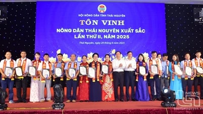 تاي نجوين: تكريم 168 من الكوادر والمزارعين النموذجيين والمتقدمين في الفترة 2020-2025