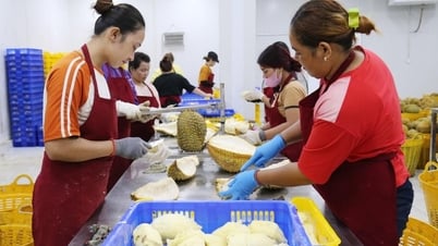 Quản lý chặt chẽ việc sử dụng chất phụ gia, chất hỗ trợ chế biến nông sản