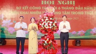 Hội Người cao tuổi tỉnh triển khai nhiệm vụ 6 tháng cuối năm