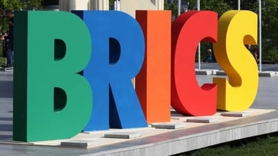 Việt Nam sẵn sàng phát huy vai trò đối tác trong khuôn khổ BRICS
