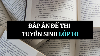 Respuestas del examen de admisión de literatura de décimo grado en Hanoi 2025