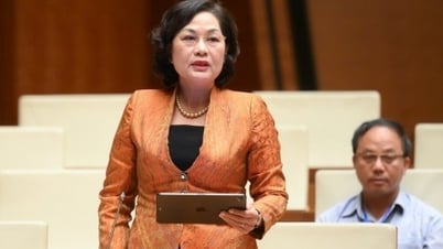総裁は質問攻めにあって、資本動員には債務返済能力を考慮しなければならないと警告した。