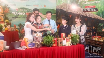 El té Thai Nguyen conquista el mercado mundial - Parte 3: Aumentar las exportaciones para el desarrollo sostenible