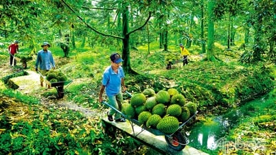 Tiền Giang: Phát huy lợi thế riêng