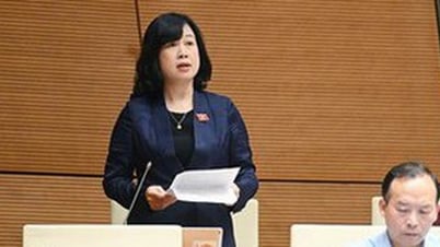 道洪蘭大臣：354,000の施設を検査し、22,073の施設で食品安全違反を発見