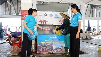 동호이에 '플라스틱 프리' 모델 확산