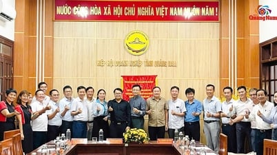 [VIDEO] - Hiệp hội Doanh nghiệp Quảng Nam và sứ mệnh kiến tạo môi trường phát triển