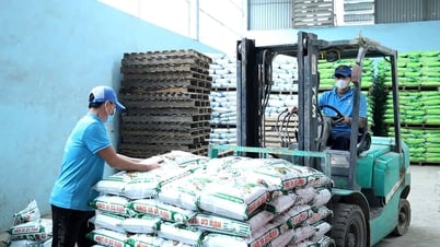 Formación paso a paso de un ecosistema para el desarrollo de la empresa privada