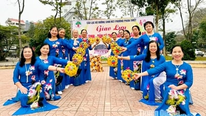 An nhiên tuổi xế chiều