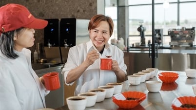 Repositioning Vietnamese Robusta: from local heritage to global standards